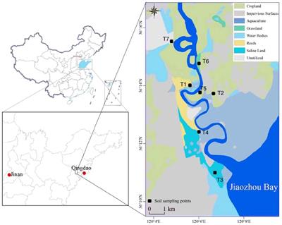 Photochemical enrichment of dissolved organic matter from different soils of a tidal river basin: significance to estuarine carbon cycle